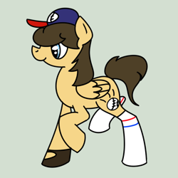 Size: 600x600 | Tagged: safe, artist:wightshadoo, derpibooru import, oc, oc only, pegasus, pony, baseball, solo