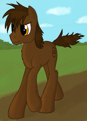 Size: 941x1301 | Tagged: safe, artist:crusierpl, oc, oc only, pony, chest fluff, male, running, stallion