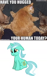 Size: 949x1535 | Tagged: safe, lyra heartstrings, cat, human, crying lyra, humie, image macro