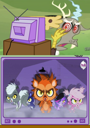 Size: 564x800 | Tagged: safe, discord, dog, hedgehog, monkey, panda, skunk, exploitable meme, littlest pet shop, minka mark, penny ling, pepper clark, russell ferguson, tv meme, zoe trent