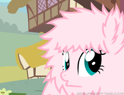 Size: 650x500 | Tagged: safe, artist:mixermike622, derpibooru import, oc, oc only, oc:fluffle puff, solo, tumblr:ask fluffle puff