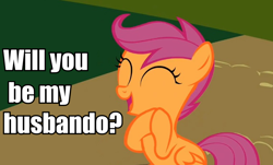 Size: 760x460 | Tagged: safe, derpibooru import, scootaloo, bronybait, husbando, image macro, solo