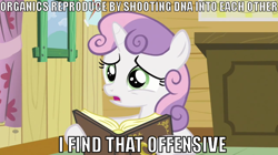 Size: 640x359 | Tagged: safe, derpibooru import, edit, edited screencap, screencap, sweetie belle, sweetie bot, futurama, image macro, solo