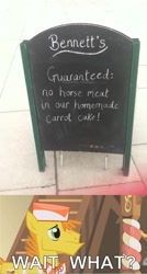 Size: 500x936 | Tagged: safe, carrot cake, 2013 horse meat scandal, chalkboard, image macro, sign