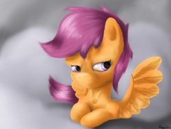 Size: 800x600 | Tagged: safe, artist:agussska, scootaloo, pegasus, female, filly, orange coat, purple mane, solo