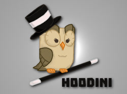 Size: 526x390 | Tagged: safe, artist:ljdamz1119, owlowiscious, female, harry houdini, hoodini, joke, magician, male, pun, solo, straight, vanossgaming