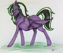 Size: 1024x872 | Tagged: safe, artist:oneiria-fylakas, oc, oc only, pegasus, pony, solo, traditional art