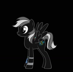 Size: 1632x1620 | Tagged: safe, oc, oc only, pegasus, pony, pony creator, pegasus oc, wings