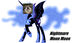 Size: 680x409 | Tagged: safe, derpibooru import, edit, nightmare moon, wolf, bad edit, moon moon, nightmare moon moon, wat