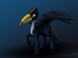 Size: 1200x900 | Tagged: safe, artist:adalbertus, original species, toucan, male, ponified, solo, toco toucan