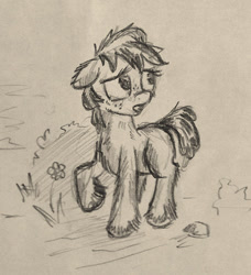 Size: 512x562 | Tagged: safe, artist:agm, derpibooru import, earth pony, pony, blank flank, sketch, solo