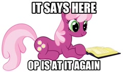 Size: 900x506 | Tagged: safe, cheerilee, earth pony, pony, book, female, image macro, mare, op, solo