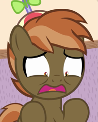 Size: 601x743 | Tagged: safe, derpibooru import, button mash, earth pony, pony, button's adventures, colt, foal, hat, hooves, male, open mouth, propeller hat, reaction image, solo