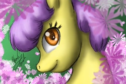 Size: 1800x1200 | Tagged: safe, artist:healing-touch, derpibooru import, parasol, pony, mane, solo