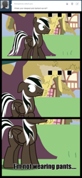 Size: 1444x3146 | Tagged: safe, artist:spectty, derpibooru import, oc, oc only, pegasus, pony, ask, tumblr