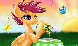 Size: 854x512 | Tagged: safe, artist:silvercommando, scootaloo, butterfly, food, sandwich