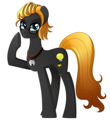 Size: 849x941 | Tagged: safe, artist:haydee, derpibooru import, oc, oc only, oc:epiphany bomb, earth pony, pony, male, necklace, simple background, solo, stallion, transparent background