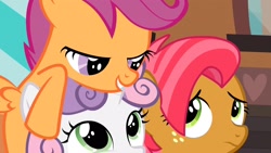 Size: 1920x1080 | Tagged: safe, screencap, apple bloom, babs seed, scootaloo, sweetie belle, earth pony, pegasus, pony, unicorn, one bad apple, season 3, cutie mark crusaders, female, lidded eyes, out of context