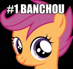 Size: 560x529 | Tagged: safe, derpibooru import, scootaloo, banchou, caption, gangster, japanese, solo