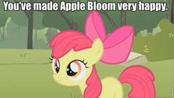 Size: 853x480 | Tagged: safe, derpibooru import, apple bloom, earth pony, pony, detailed background, female, filly, image macro, solo