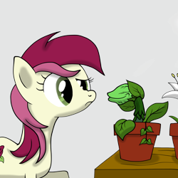 Size: 2048x2048 | Tagged: safe, artist:that1andonly, derpibooru import, roseluck, earth pony, pony, audrey 2, confused, crossover, female, little shop of horrors, mare, plant, raised eyebrow, smiling, solo