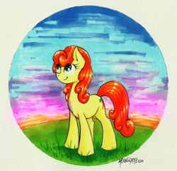 Size: 2227x2145 | Tagged: safe, artist:moonlightfl, derpibooru import, carrot top, golden harvest, solo, sunset, traditional art