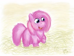 Size: 1024x768 | Tagged: safe, artist:fluffsplosion, derpibooru import, fluffy pony, fluffy pony original art, spaghetti