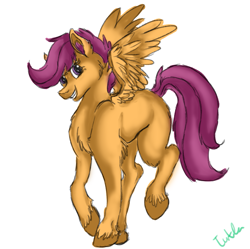 Size: 1149x1146 | Tagged: safe, artist:turtlesquirt76, derpibooru import, scootaloo, pegasus, pony, female, filly, simple background, solo, white background