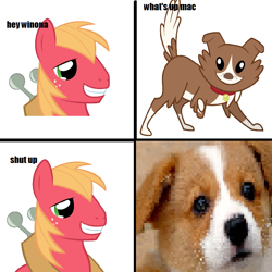 Size: 700x700 | Tagged: safe, derpibooru import, big macintosh, winona, earth pony, pony, comic, corgi, jacques, jontron, king's quest v + mailmen, male, stallion, wat