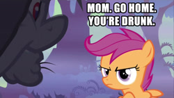 Size: 1920x1080 | Tagged: safe, derpibooru import, edit, edited screencap, screencap, olden pony, scootaloo, sleepless in ponyville, caption, image macro, insane fan theory, out of context