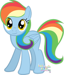 Size: 1021x1192 | Tagged: safe, artist:arceus55, oc, oc only, oc:rainbow bearer, not rainbow dash