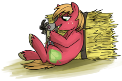 Size: 500x331 | Tagged: safe, artist:ghost, derpibooru import, big macintosh, smarty pants, earth pony, pony, hay bale, solo