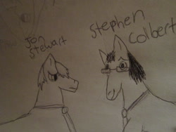 Size: 900x675 | Tagged: safe, derpibooru import, glasses, jon stewart, ponified, stephen colbert, traditional art