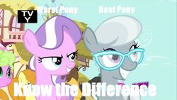 Size: 1000x563 | Tagged: safe, edit, edited screencap, screencap, caramel, carrot top, daisy, diamond tiara, flower wishes, golden harvest, silver spoon, one bad apple, best pony, caption, glasses, hub logo, know the difference, op is trying to start shit, tv rating, worst pony