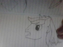 Size: 640x480 | Tagged: artist needed, safe, derpibooru import, oc, oc only, pony, unicorn, bust, lined paper, male, pencil drawing, solo, stallion, traditional art