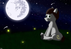 Size: 1069x748 | Tagged: safe, artist:thewake96, derpibooru import, oc, oc only, earth pony, pony, mare in the moon, moon, night, stars, torchbugs