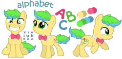 Size: 2564x1254 | Tagged: safe, artist:ivyhaze, derpibooru import, oc, oc only, earth pony, pony, bowtie, filly, reference sheet, simple background, smiling, transparent background, vector