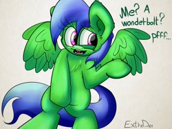 Size: 1280x957 | Tagged: safe, artist:extradan, oc, oc only, pony, aurora glade