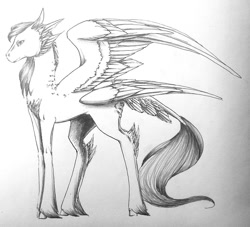 Size: 1024x930 | Tagged: safe, artist:oneiria-fylakas, original species, graadzem, monochrome, solo, traditional art