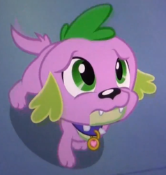 Size: 576x606 | Tagged: safe, derpibooru import, screencap, spike, dog, equestria girls, equestria girls (movie), solo, spike the dog