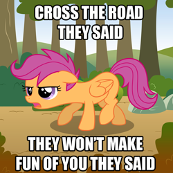 Size: 700x700 | Tagged: safe, artist:sketchyjackie, derpibooru import, scootaloo, image macro, scootachicken, solo