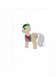 Size: 762x1048 | Tagged: safe, artist:aharon l'anglais, derpibooru import, canadian, ponified, quality, red green, red green show, the red green show