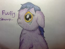 Size: 960x720 | Tagged: safe, artist:waggytail, derpibooru import, fluffy pony, crying, fluffy pony original art, solo, sorry