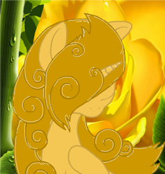 Size: 440x465 | Tagged: safe, artist:princess amity, derpibooru import, oc, oc only, alicorn, pony, alicorn oc, flower, rose