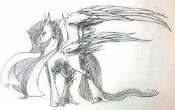 Size: 1024x649 | Tagged: safe, artist:oneiria-fylakas, original species, braham, monochrome, solo, traditional art