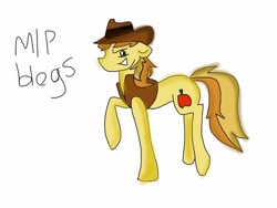 Size: 1024x768 | Tagged: safe, artist:mlpblogs, braeburn, earth pony, pony, 30 minute art challenge, cowboy hat, male, two toned mane