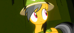 Size: 400x178 | Tagged: safe, derpibooru import, screencap, daring do, read it and weep, solo