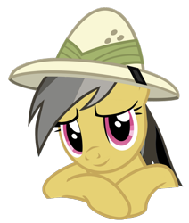 Size: 1000x1180 | Tagged: safe, artist:kuren247, derpibooru import, daring do, simple background, solo, transparent background, vector