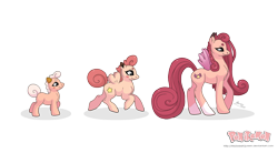 Size: 3737x2065 | Tagged: safe, artist:almairis, clefable, clefairy, cleffa, evolution chart, female, filly, foal, mare, mother and child, mother and daughter, parent and child, pokémon, ponified, ponymon, simple background, socks (coat marking), transparent background