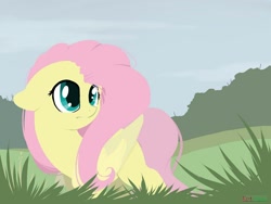 Size: 1280x960 | Tagged: safe, artist:kebchach, fluttershy, pegasus, pony, cute, explicit source, female, floppy ears, grass, mare, shyabetes, solo